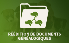 DOCUMENTS GENEALOGIQUES